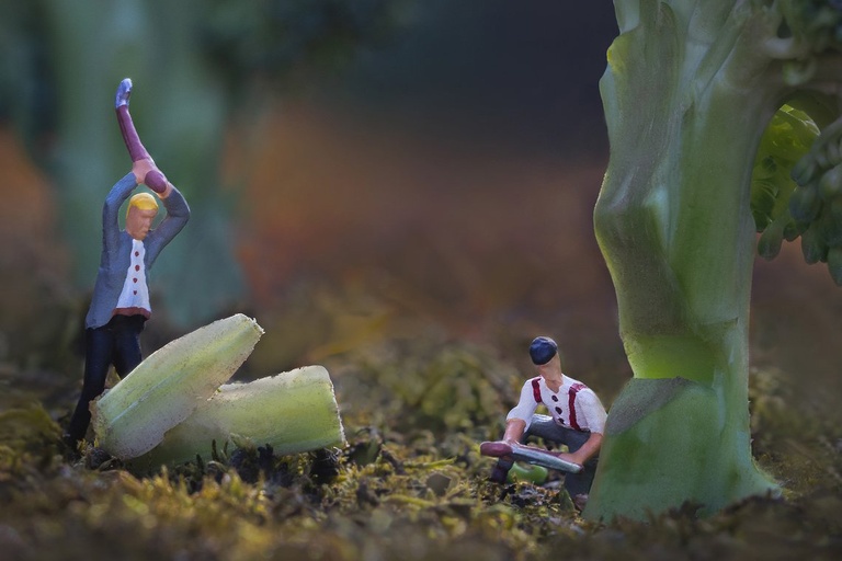 1. Preis für Alexander Braun